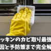 窓ゴムパッキンのカビ取り最強はコレ！原因と予防策まで完全解説
