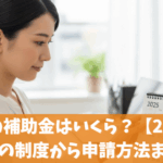 二重窓の補助金はいくら？【2025年】補助金対象者や申請方法まで徹底ガイド